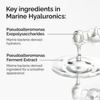 Ingredients of Marine Hyaluronics